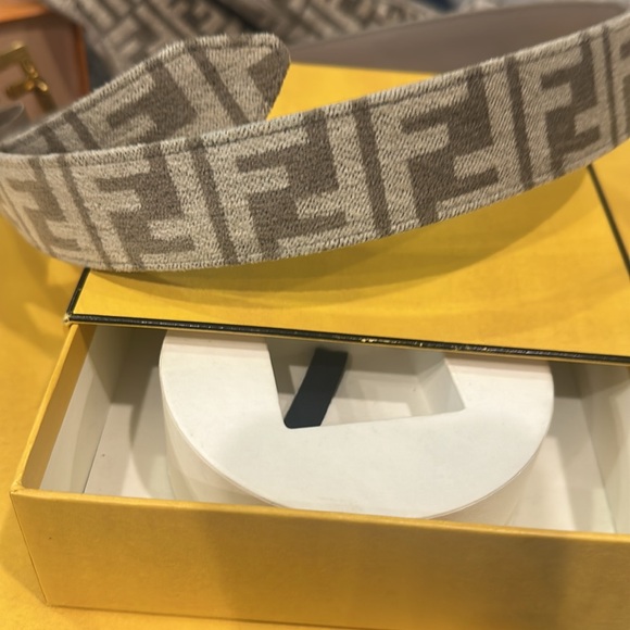 Fendi Brown and Gold women Belt Bag - Picture 4 of 17